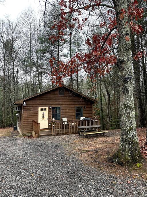 Private Cozy Cabin In The Woods With Great View เมอร์ฟี ภายนอก รูปภาพ