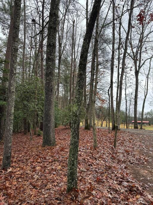 Private Cozy Cabin In The Woods With Great View เมอร์ฟี ภายนอก รูปภาพ